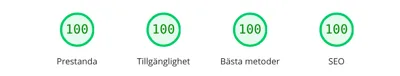 Google PageSpeed Insights: 100 poäng i Prestanda, Tillgänglighet, Bästa metoder och SEO för pudas.se